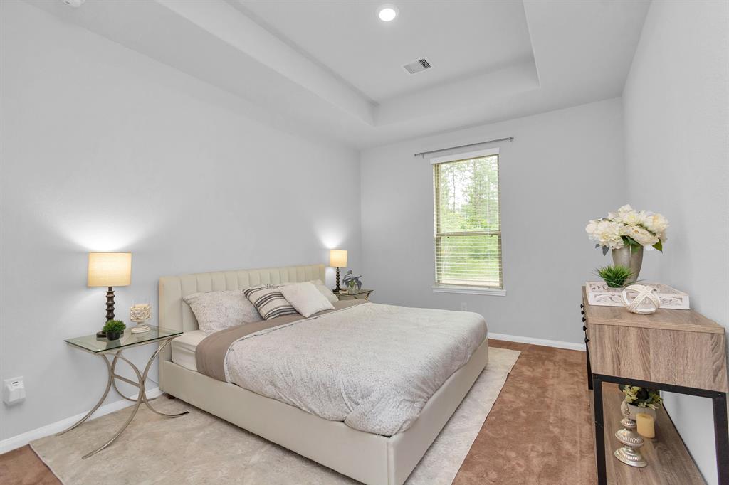 9846 Guadalupe Street, Conroe, Texas image 19