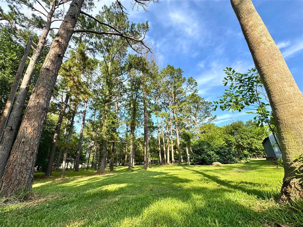 1950 County Road 540, Alvin, Texas image 9