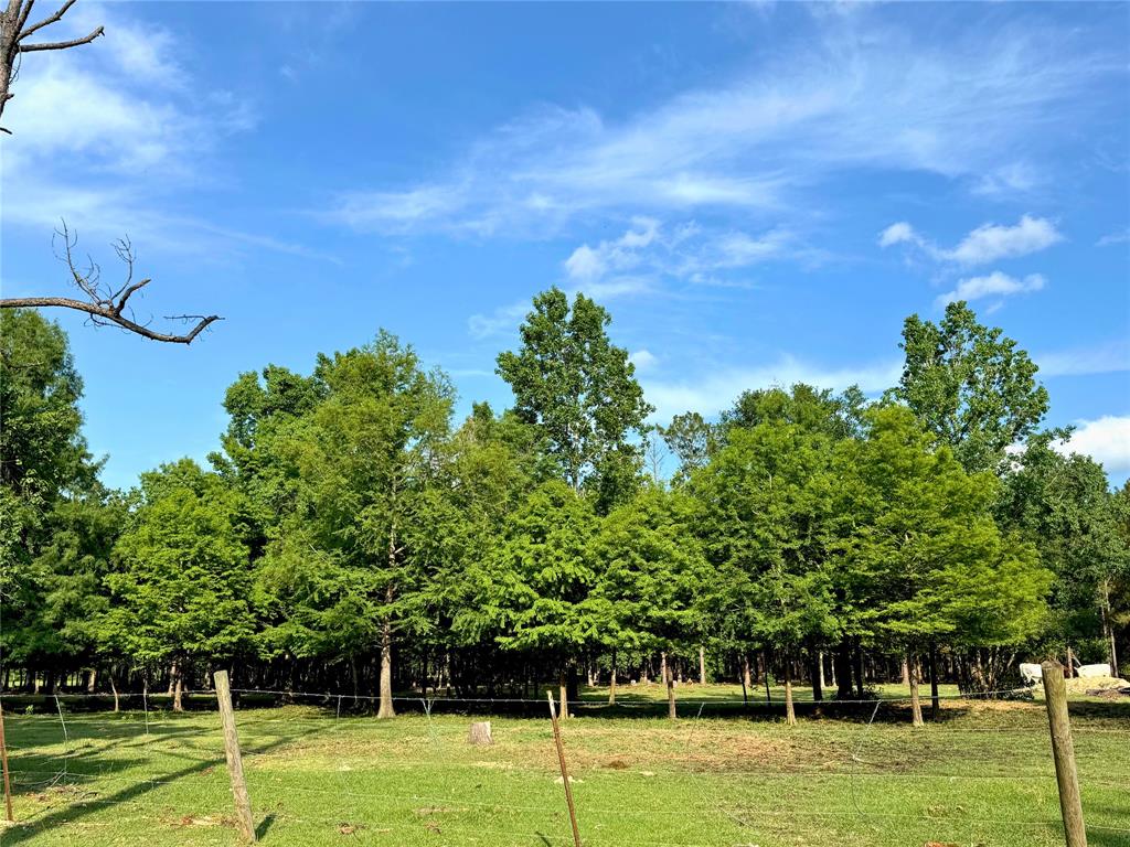 1950 County Road 540, Alvin, Texas image 11