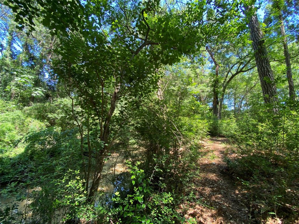 19725 W Lakeshore Drive