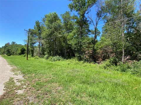 19725 W Lakeshore Drive Magnolia TX 77354