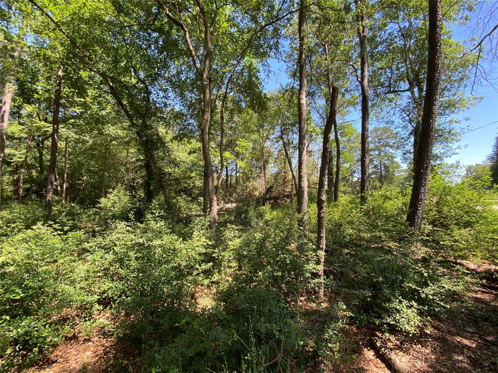 19725 W Lakeshore Drive