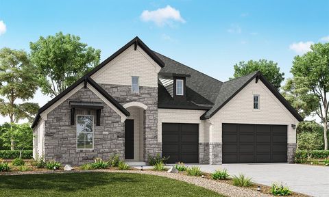 10041 Larkin Cove Willis TX 77318