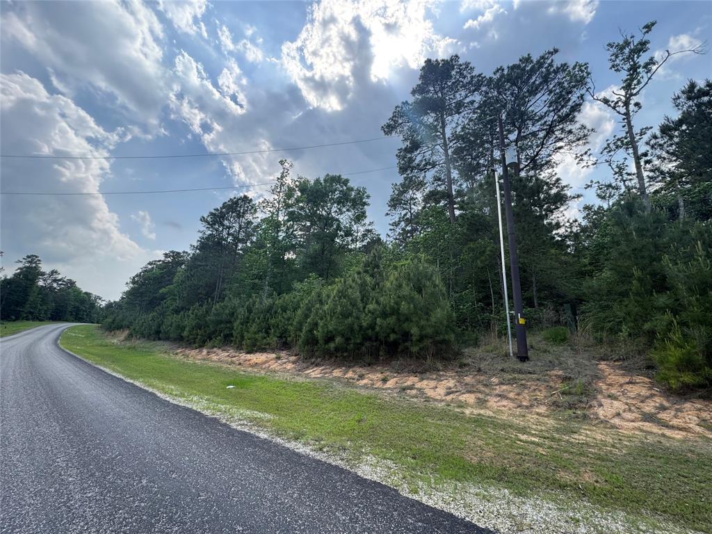 40-16-4a Sundog Road, Huntsville, Texas image 2