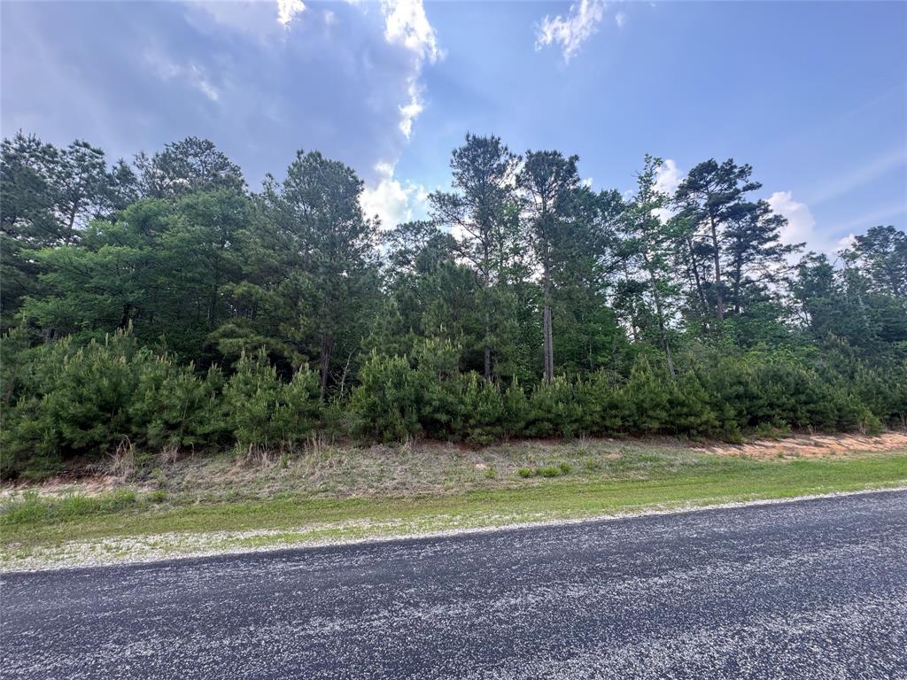 40-16-4a Sundog Road, Huntsville, Texas image 1