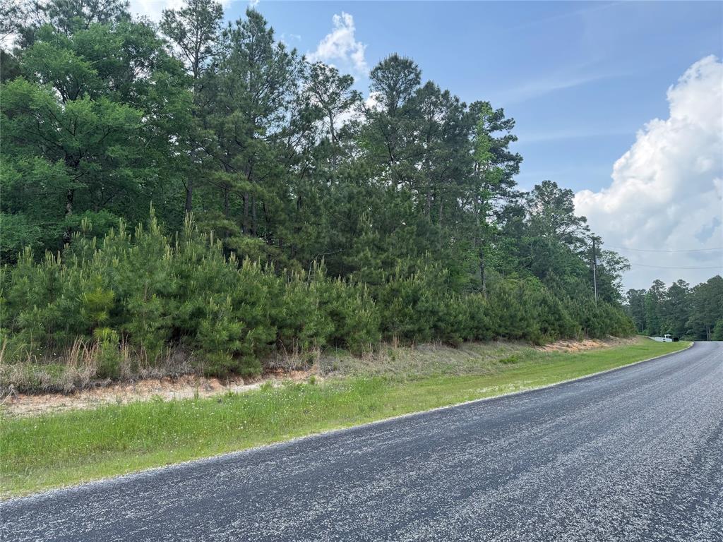 40-16-4a Sundog Road, Huntsville, Texas image 3