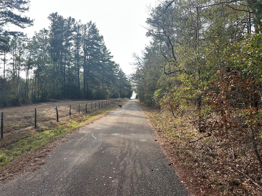 8AC County Road 661, Teague, Texas image 8