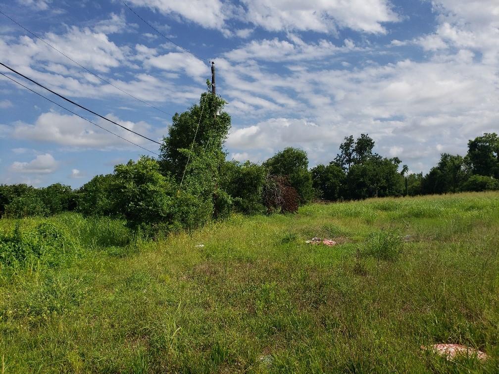 5507 Cavalcade Street, Houston, Texas image 3