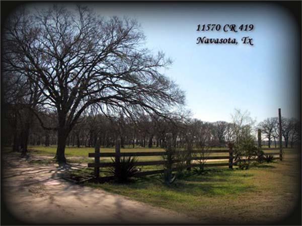 11568 County Road 419, Navasota, Texas image 18