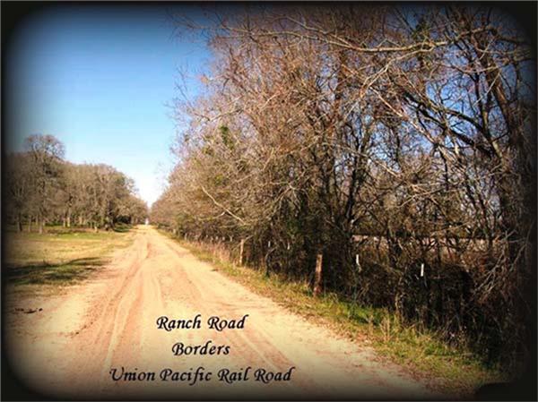 11568 County Road 419, Navasota, Texas image 27