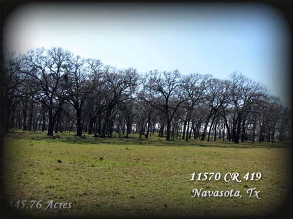 11568 County Road 419, Navasota, Texas image 12