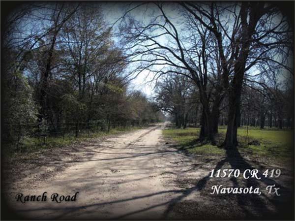 11568 County Road 419, Navasota, Texas image 29