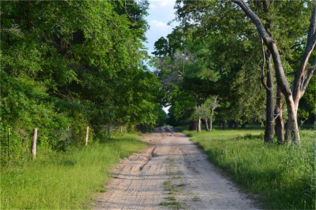 11568 County Road 419, Navasota, Texas image 2