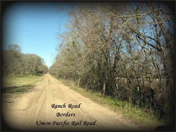11568 County Road 419, Navasota, Texas image 19