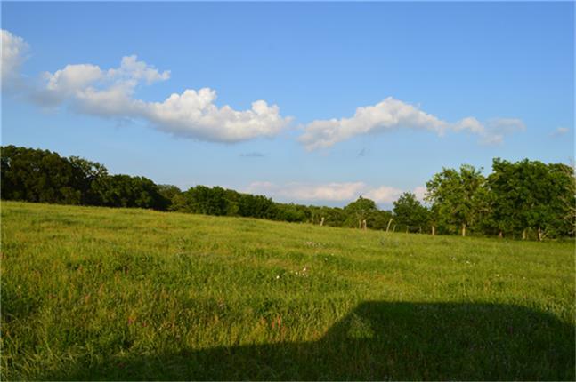 11568 County Road 419, Navasota, Texas image 7