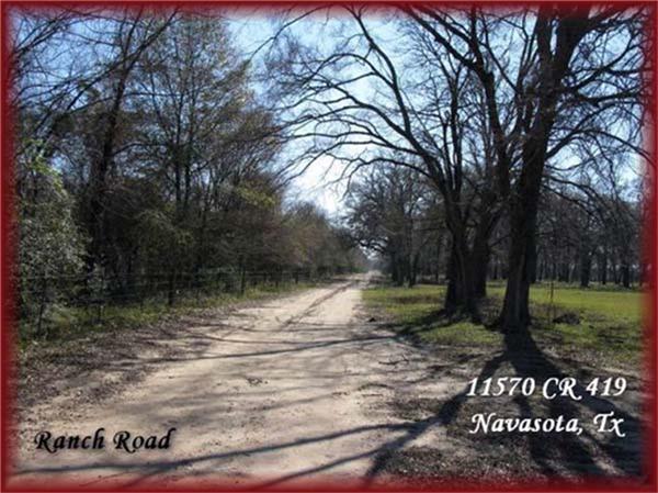 11568 County Road 419, Navasota, Texas image 17