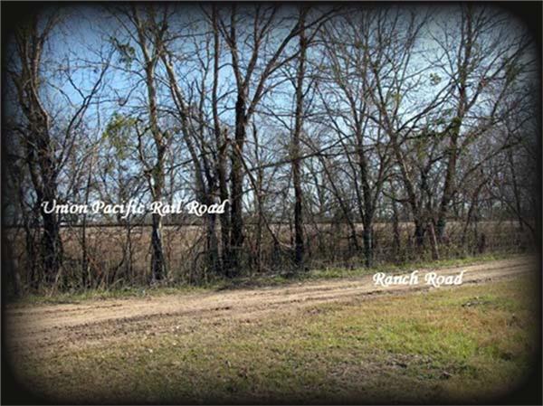 11568 County Road 419, Navasota, Texas image 21