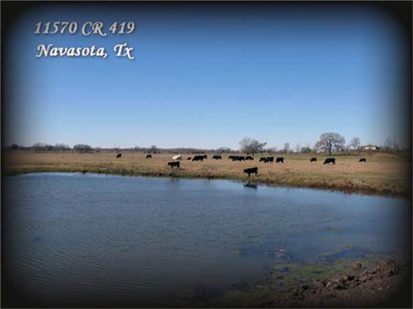 11568 County Road 419, Navasota, Texas image 4
