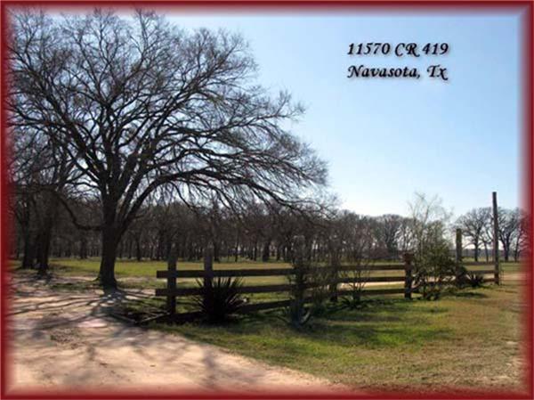 11568 County Road 419, Navasota, Texas image 16