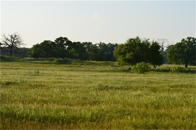 11568 County Road 419, Navasota, Texas image 3