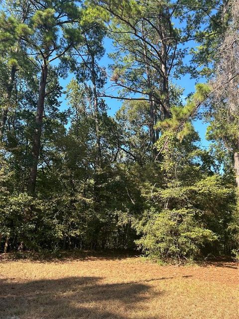 Vacant Land For Sale - 545556 Grand Pine Circle<br/> Livingston, TX 77351