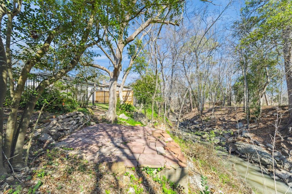 115 Blue Willow Drive, Houston, Texas image 33