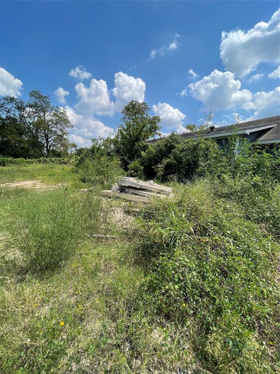 4918 Elysian Street, Houston, Texas image 6