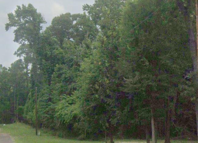 TBD Rio Vista Drive, Livingston, Texas image 1