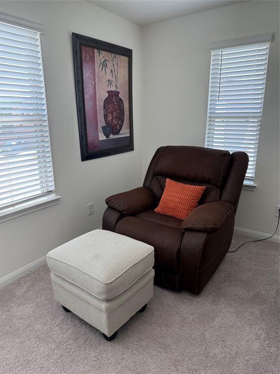 2900 Glint Peak Court, Katy, Texas image 16