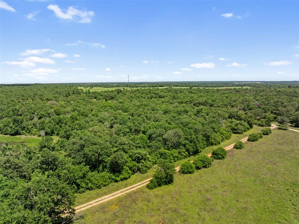 TBD Michulka Lane, Franklin, Texas image 16