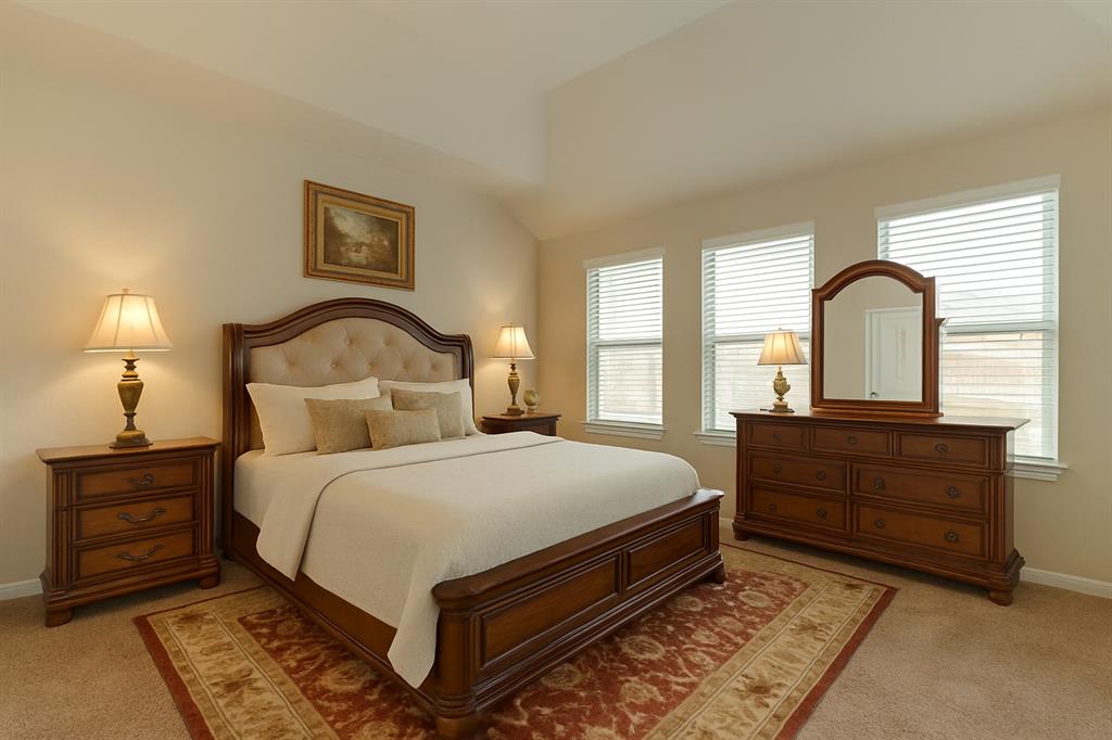 732 Ocean Palms Drive, Katy, Texas image 11