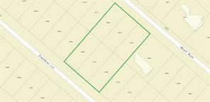 350 Wolf Run, Livingston, Texas image 2