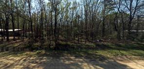 350 Wolf Run, Livingston, Texas image 5