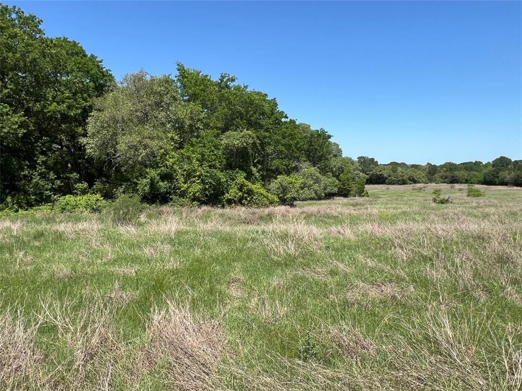 3648 Fm 1579, Schulenburg, Texas image 4