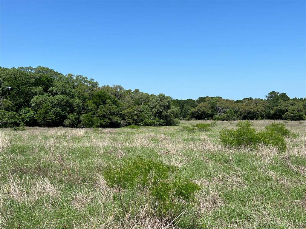 3648 Fm 1579, Schulenburg, Texas image 6