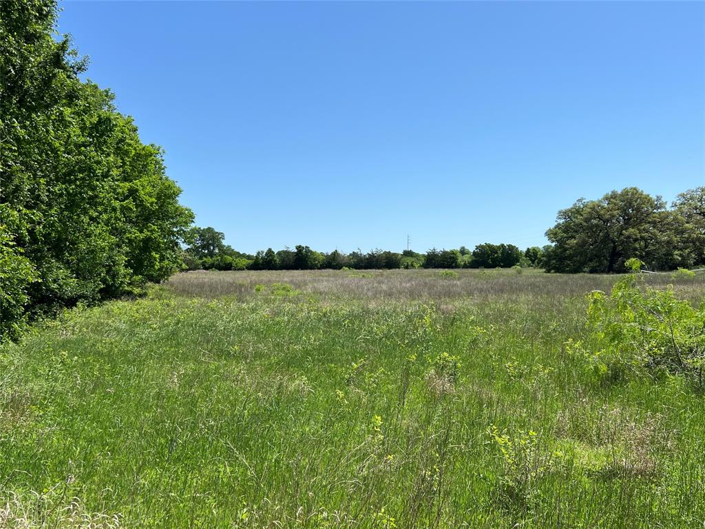 3648 Fm 1579, Schulenburg, Texas image 9