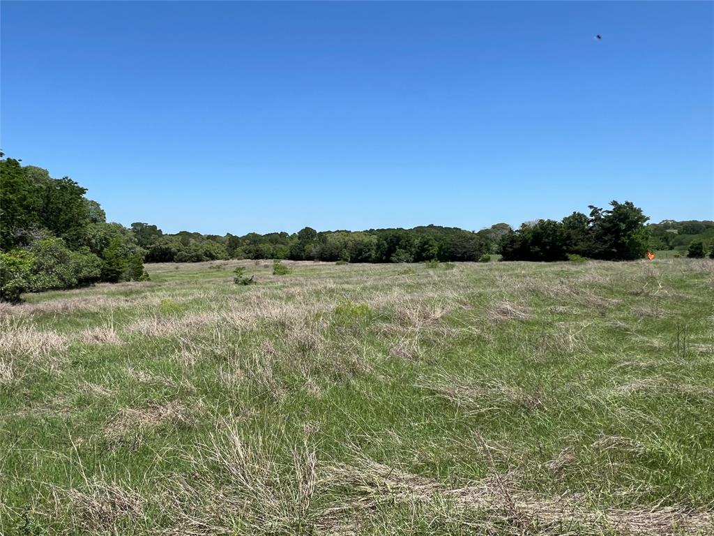 3648 Fm 1579, Schulenburg, Texas image 3