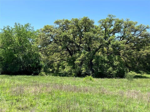 Vacant Land For Sale - 00 Fm 1579 And Langdon Rd<br/> Schulenburg, TX 78956