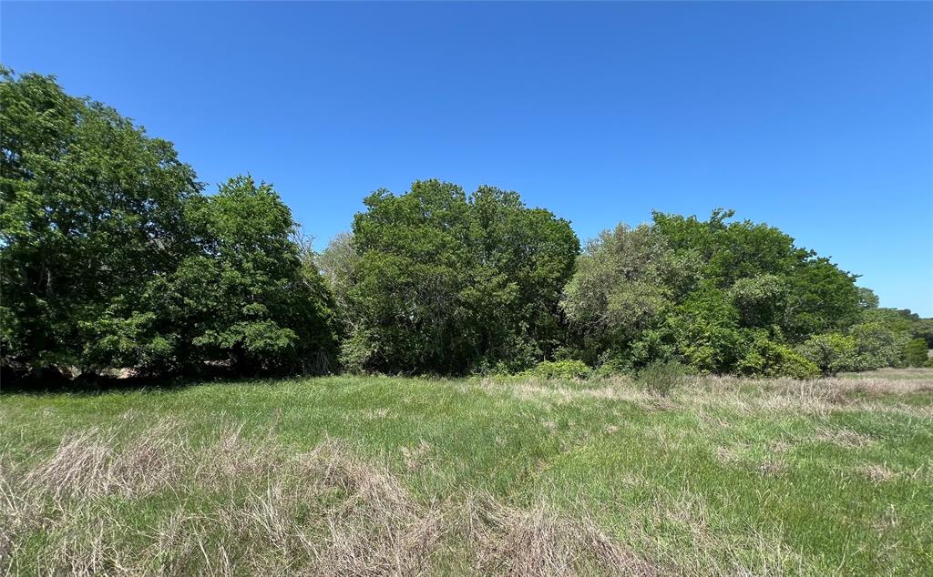 3648 Fm 1579, Schulenburg, Texas image 5