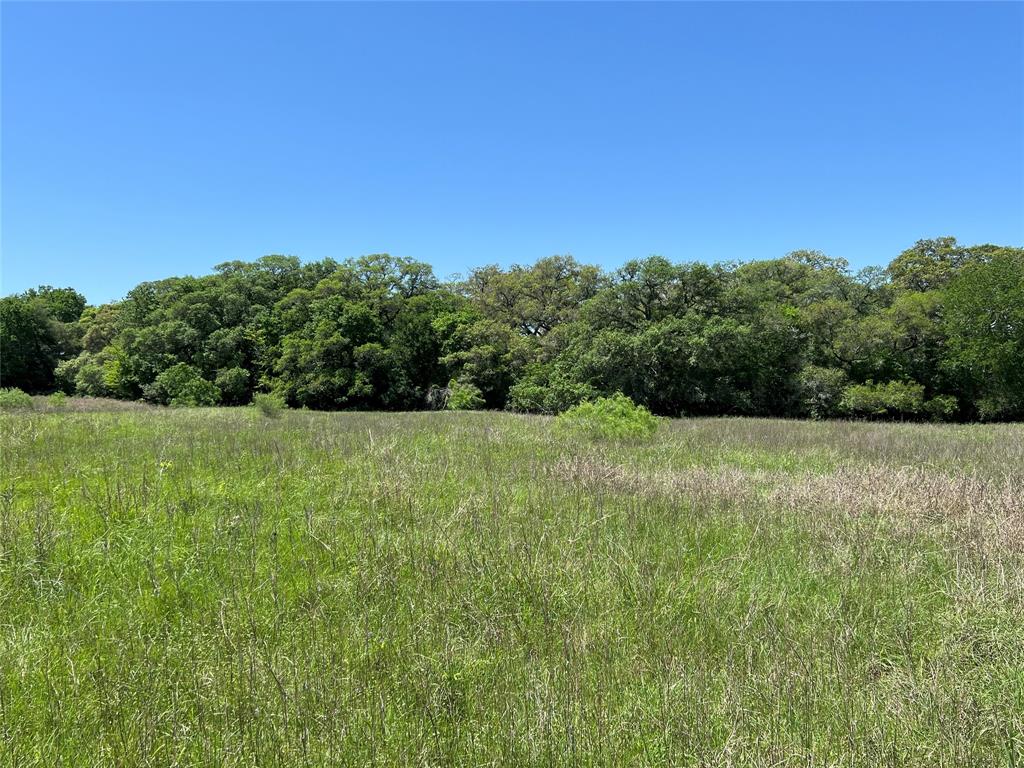 3648 Fm 1579, Schulenburg, Texas image 7
