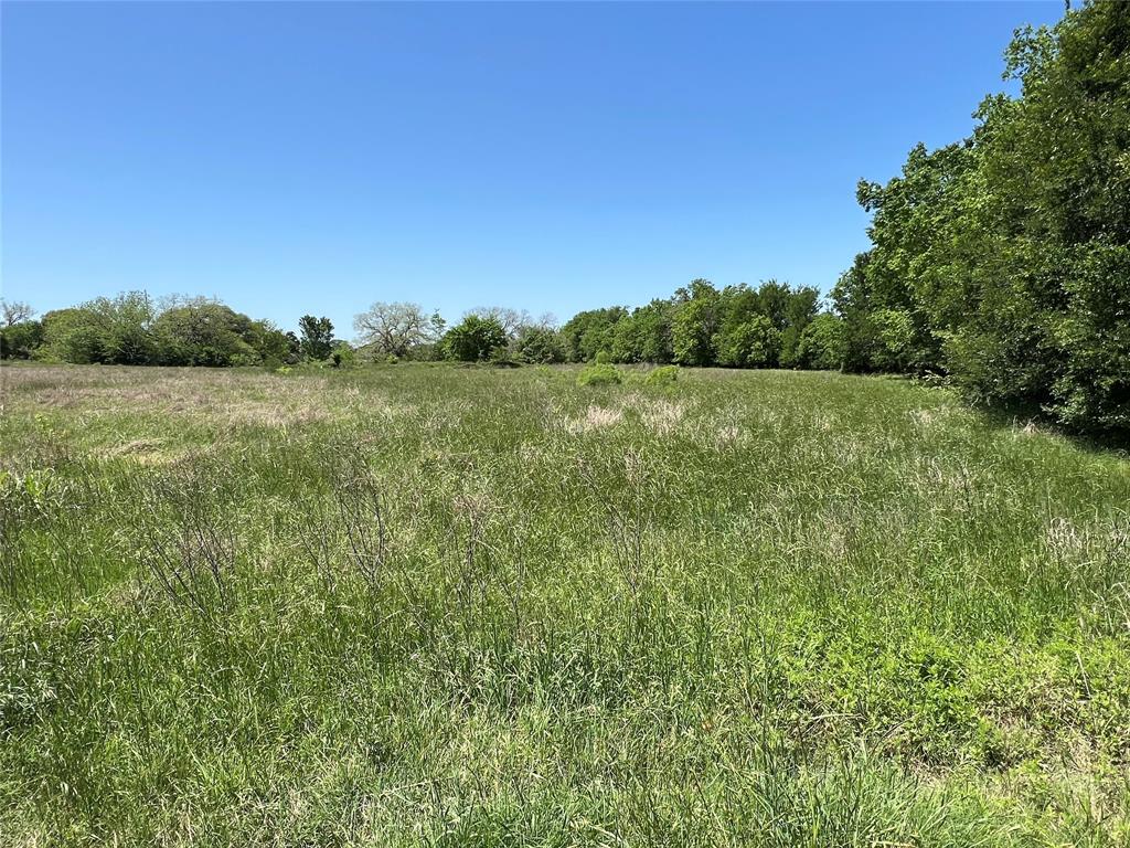 3648 Fm 1579, Schulenburg, Texas image 2