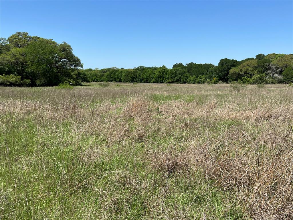 3648 Fm 1579, Schulenburg, Texas image 1