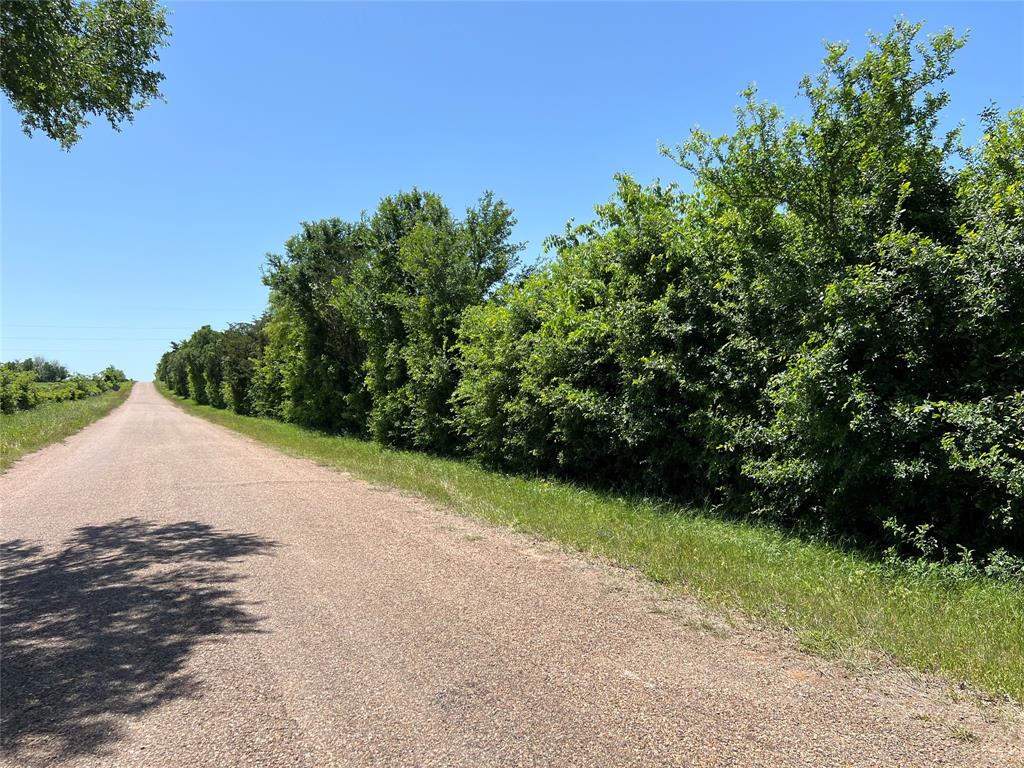 3648 Fm 1579, Schulenburg, Texas image 10