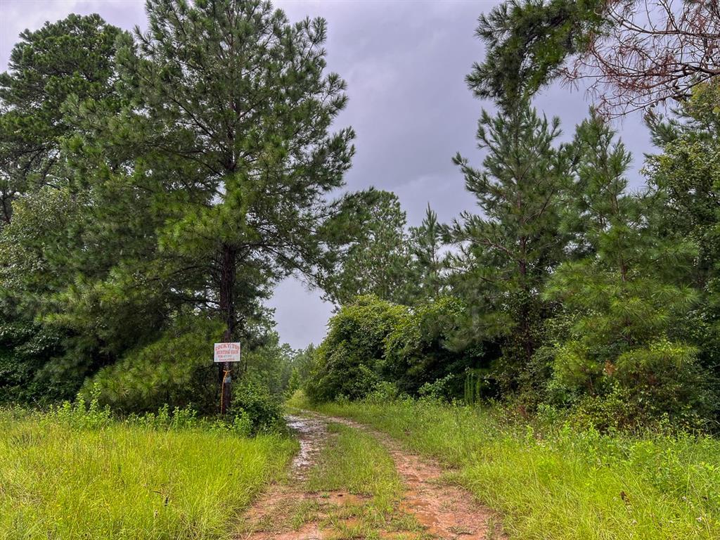 1 Off County Road 2064, Crockett, Texas image 6