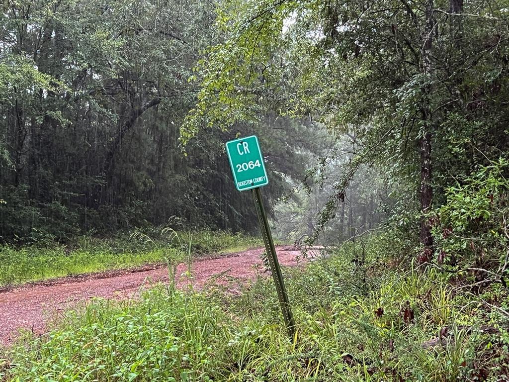 1 Off County Road 2064, Crockett, Texas image 9