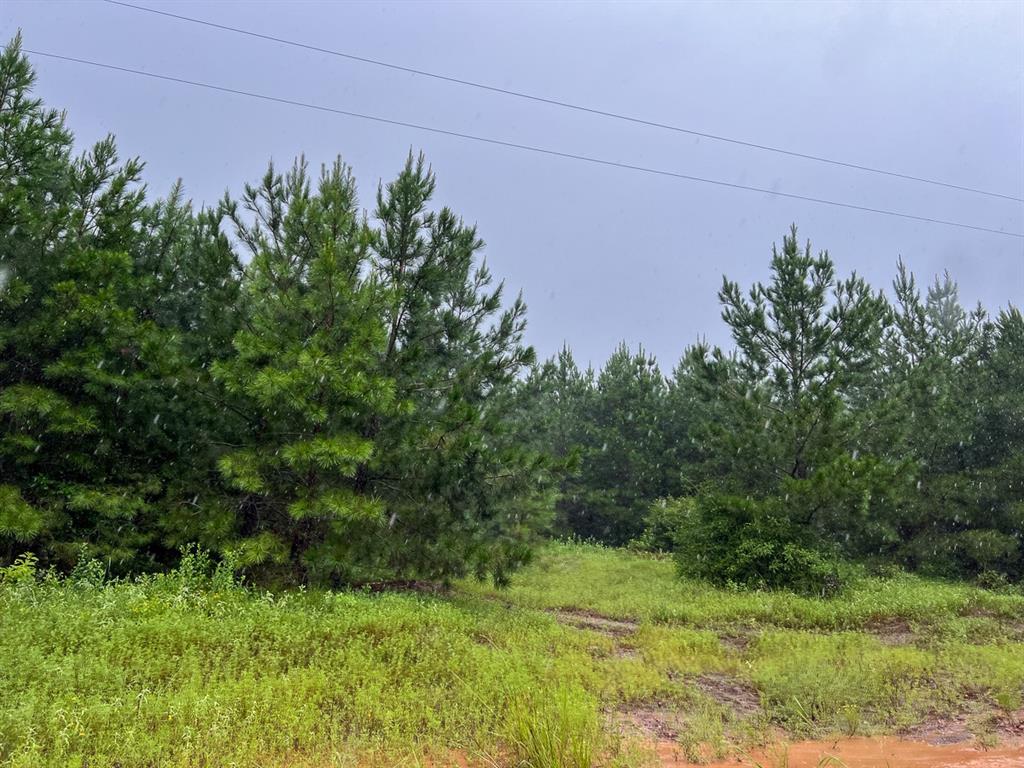 1 Off County Road 2064, Crockett, Texas image 4