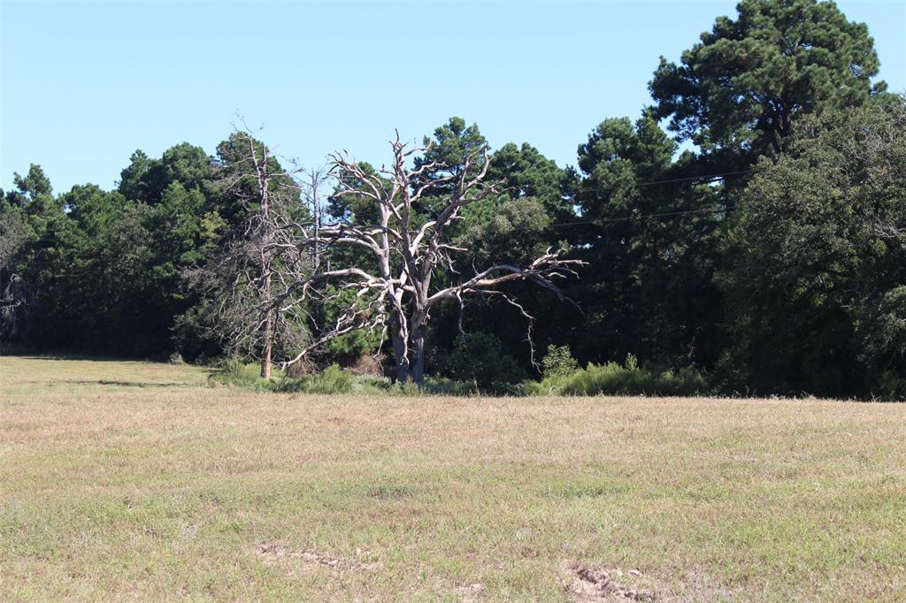 000 County Road 2345, Grapeland, Texas image 24