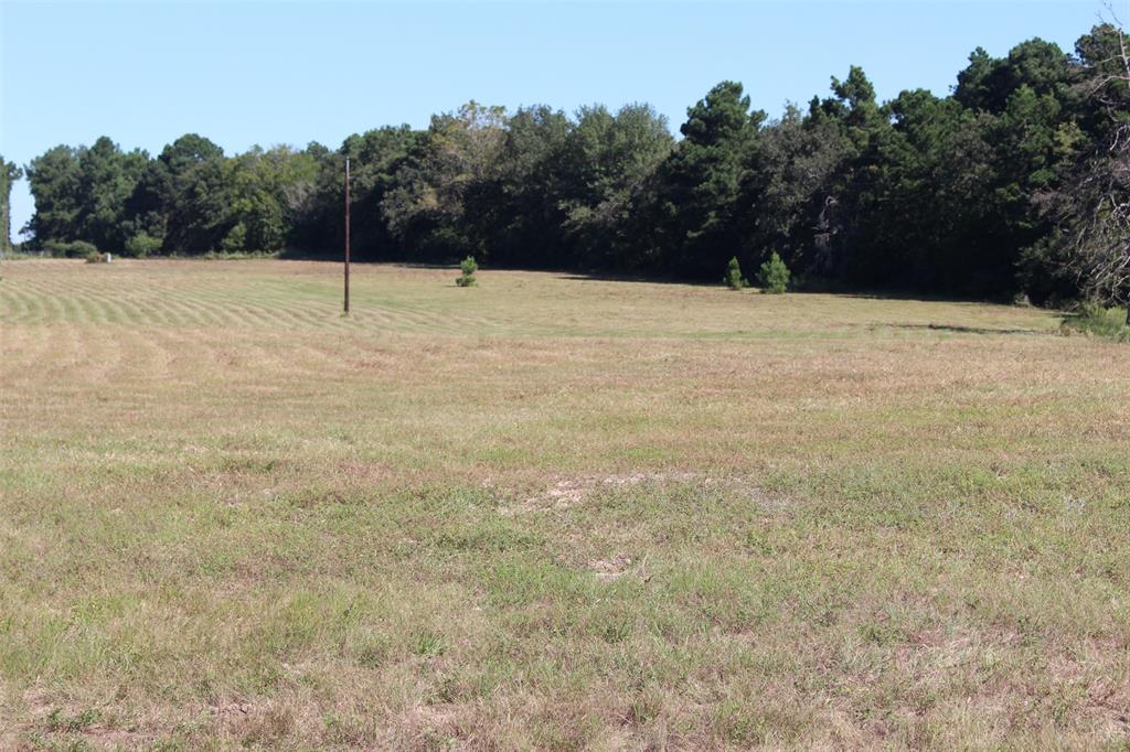 000 County Road 2345, Grapeland, Texas image 21