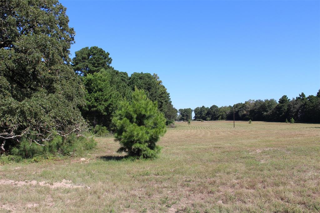 000 County Road 2345, Grapeland, Texas image 22