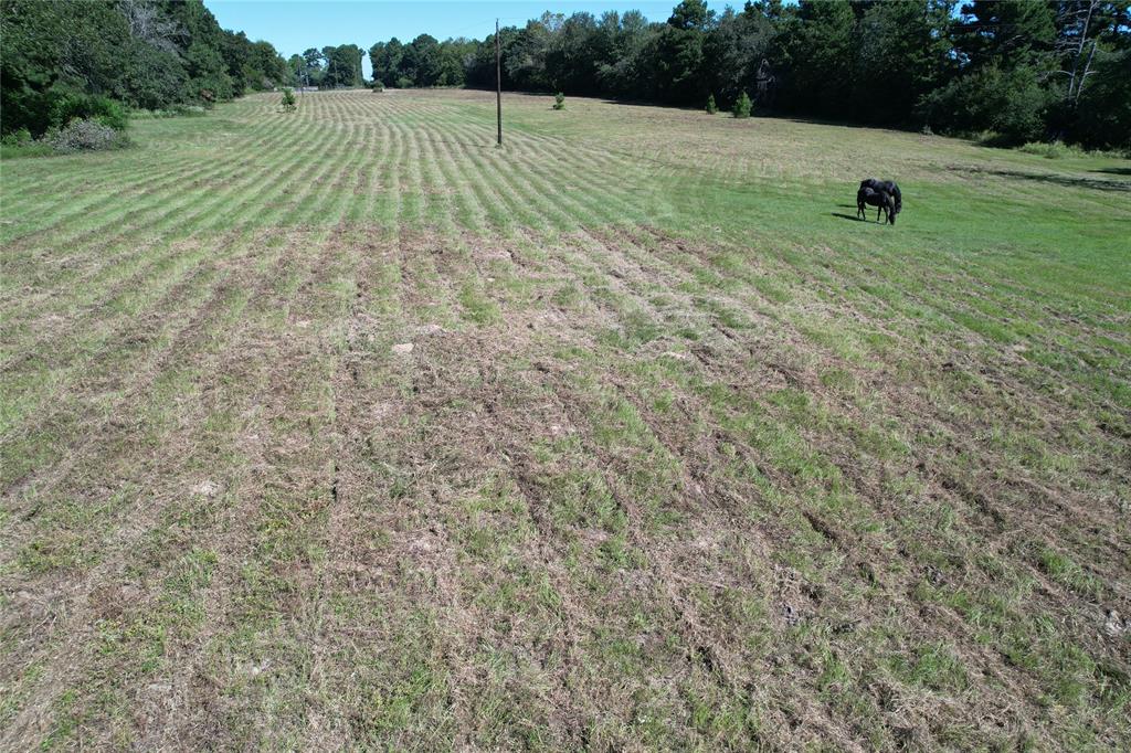 000 County Road 2345, Grapeland, Texas image 16